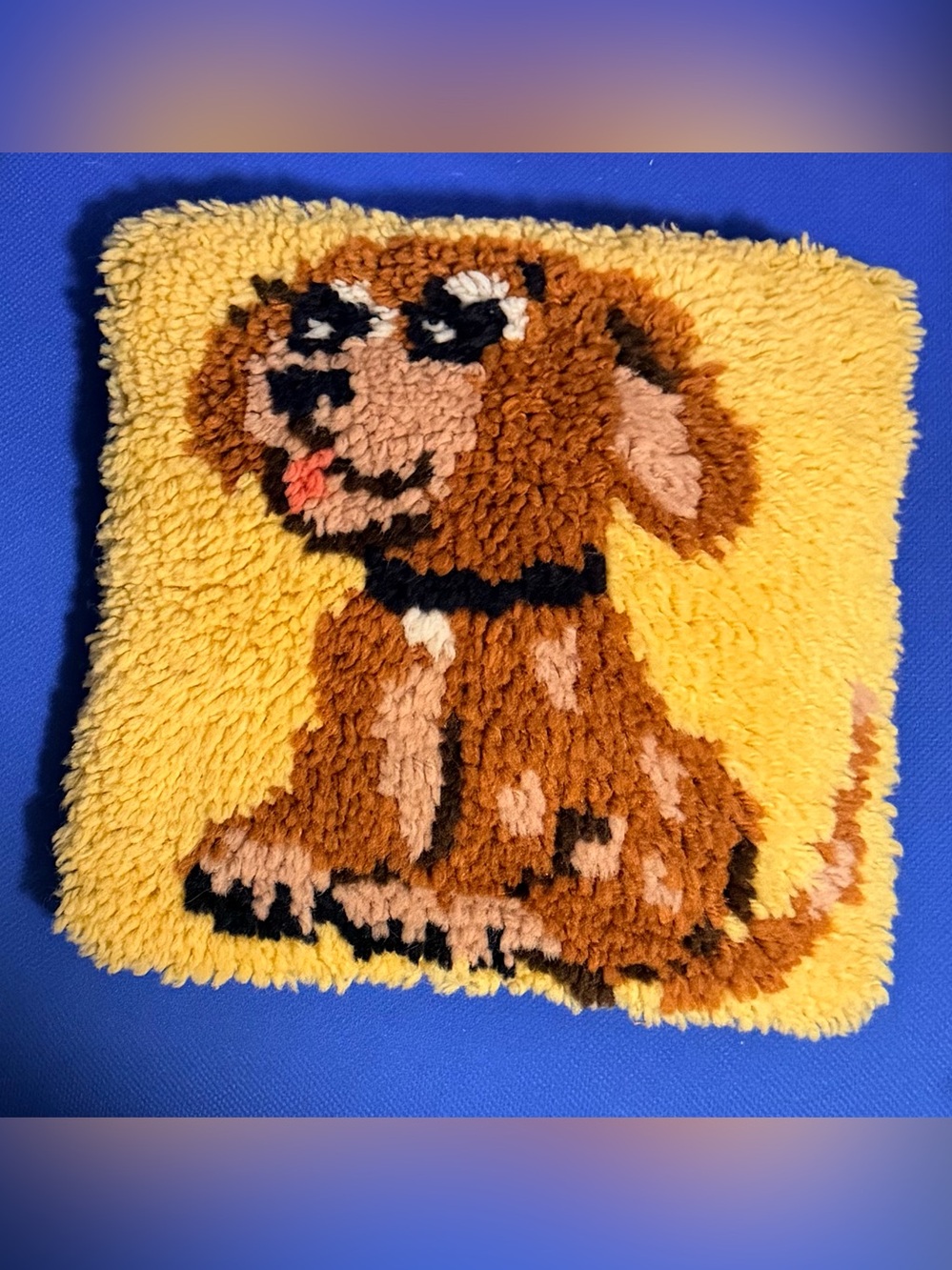 Vintage Latch hook Doggie Pillow- 12x12”